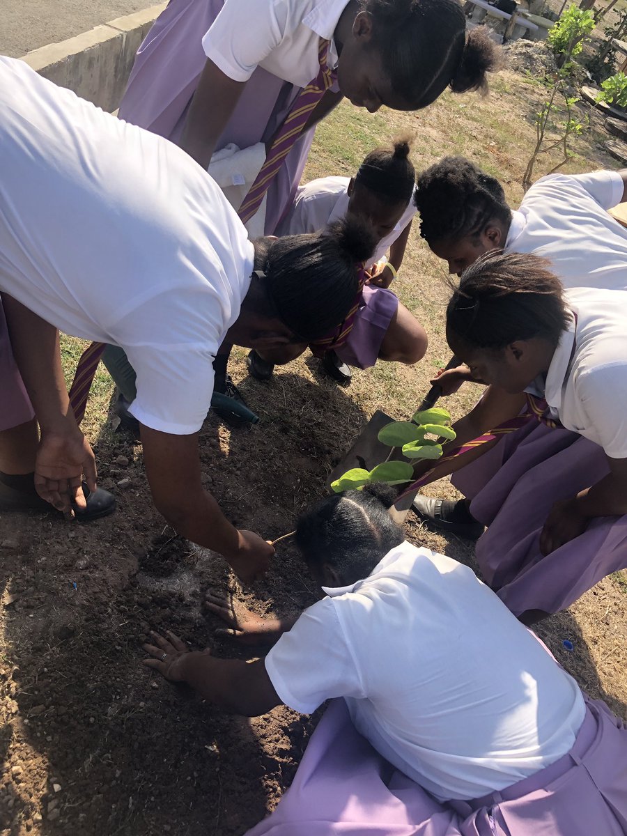 PHHSGirlsInICT's tweet photo. Today we planted our trees 🌳🌴@cgirlzhack @ITU #FutureSafeGirls #ClimateSafeFutureSafe #Cgirlzhack https://t.co/EogFGowVAs