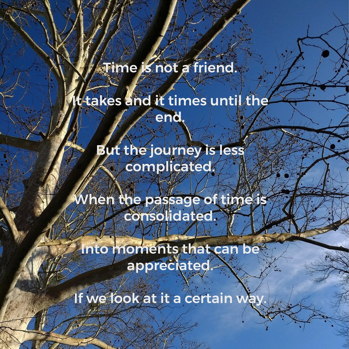 fdtuop's tweet photo. A Certain Way
•
#gettingolder #time #graditude #moments #peaceofmind #reminders #poetryonthefly #poetsofinstagram #rhyme #walkingmeditation #liveeachday #amaturephotography #sycamoretree #outside #peacewitheverystep #perspective #lookup #mindfulness https://t.co/SlIiYjicFi