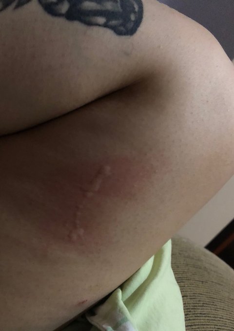fico uns dias fora de casa, quando eu volto, minha gata me ama mto ahuahauahauahau https://t.co/SD3Q