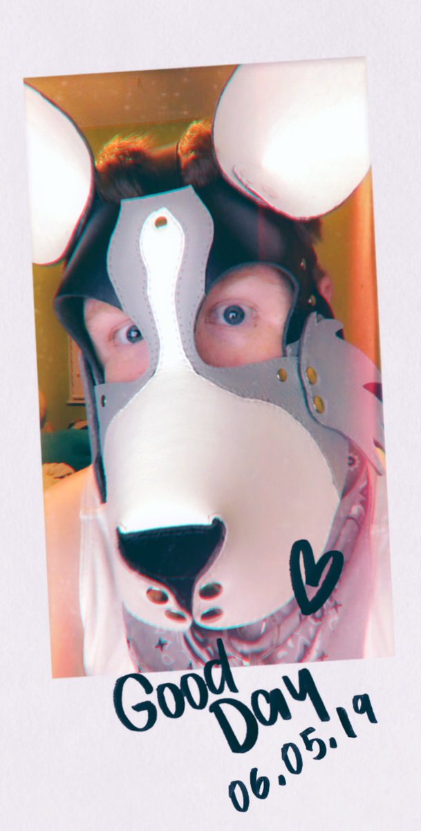 Shadowpup6's tweet photo. #pupplay #puppyplay #bsdm #petplay #sfwpetplay #sillypupper #bsdmpup #subpup #bigolepupper #guardpup #servicepup #workingpup #shypup #genderfluidpup #acepup #polyapup #enbypup #queerpup #cuddlypupper #floridapup #goodpup #happypup #fluffypup #leatherpup https://t.co/bQZVnQuyIf