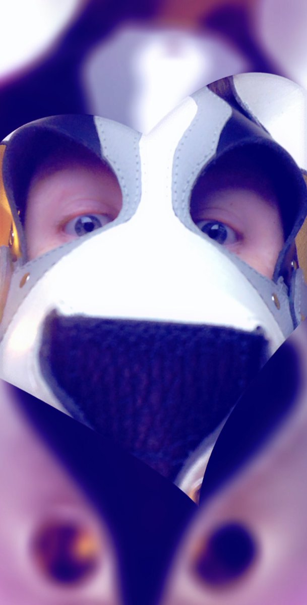 Shadowpup6's tweet photo. #pupplay #puppyplay #bsdm #petplay #sfwpetplay #sillypupper #bsdmpup #subpup #bigolepupper #guardpup #servicepup #workingpup #shypup #genderfluidpup #acepup #polyapup #enbypup #queerpup #cuddlypupper #floridapup #goodpup #happypup #fluffypup #leatherpup https://t.co/bQZVnQuyIf