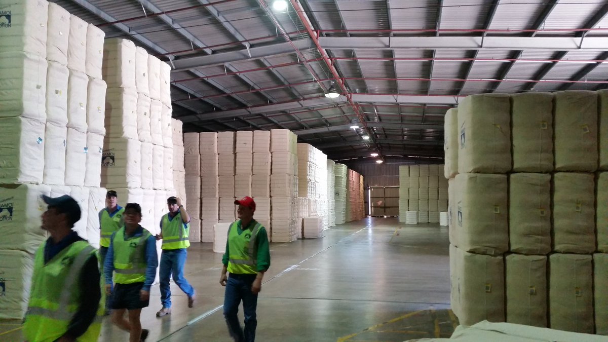 shiraz1964's tweet photo. Naomi cotton warehouse filling up. #pick19 @CottonInfoAust @CottonResearch https://t.co/VWr5tLcj4V