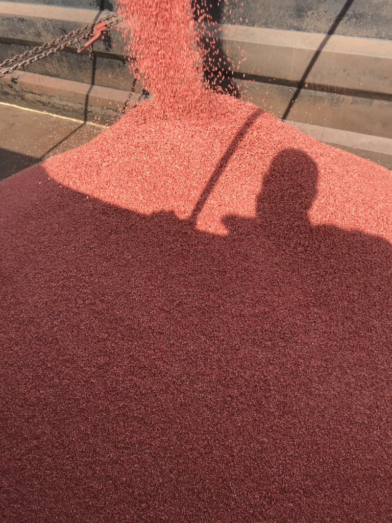 colin_klassen's tweet image. #coverageiskey!!