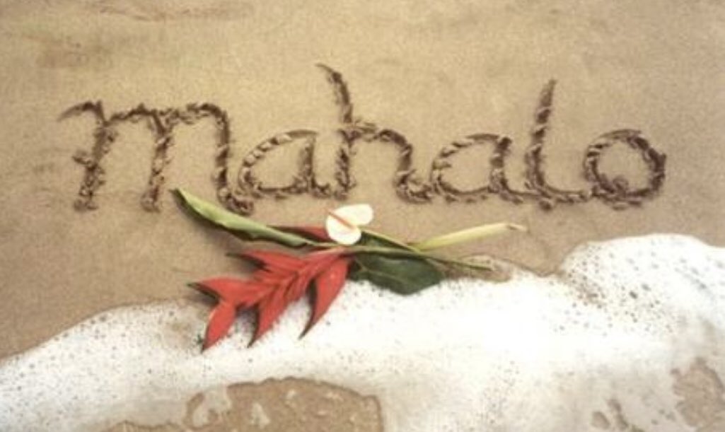 amycookEDD's tweet photo. #Mahalo Nui Loa and Happy #TeacherApprecationWeek to all the hard working educators out there! You are valued and appreciated! The end of the school year is near so hang in there! #educatewithaloha #aloha #mahalo #teacherlife #EducateAChild https://t.co/EPGi96wUmH