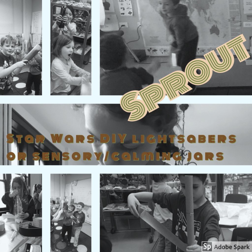 sproutgifted.org/2019/05/07/306…