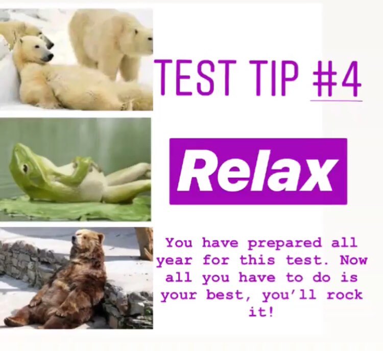 #NJSLA test taking tips from some of the cutest animals! #nostressjustdoyourbest #MTPSpride #thorneMS