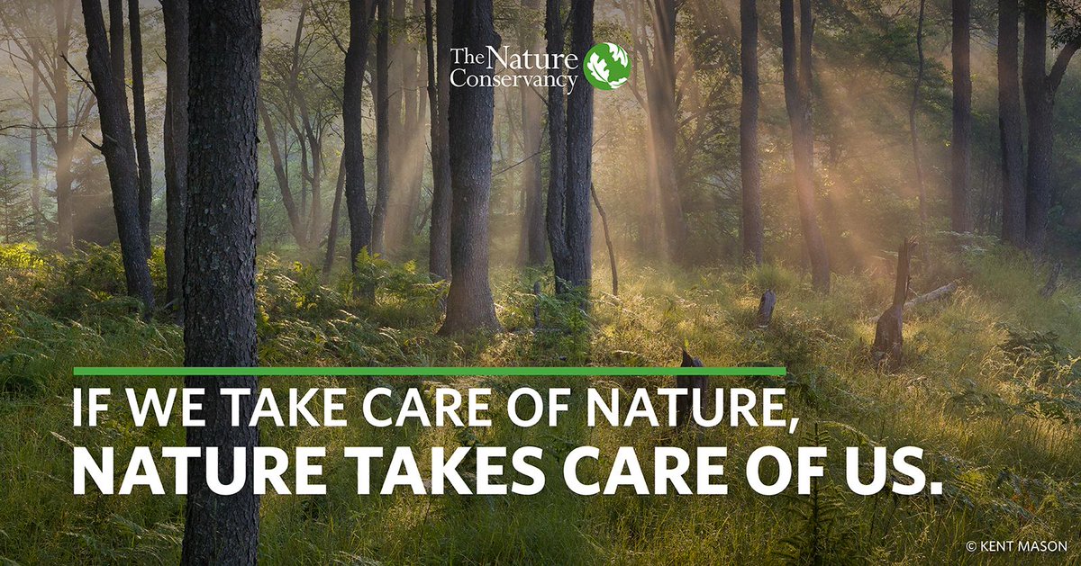 The Nature Conservancy Nutritious Food Clean Water A Breath Of Fresh Air This Is What S At Stake The Ipbes Report On Biodiversity Reveals We Re At A Critical Crossroads But A