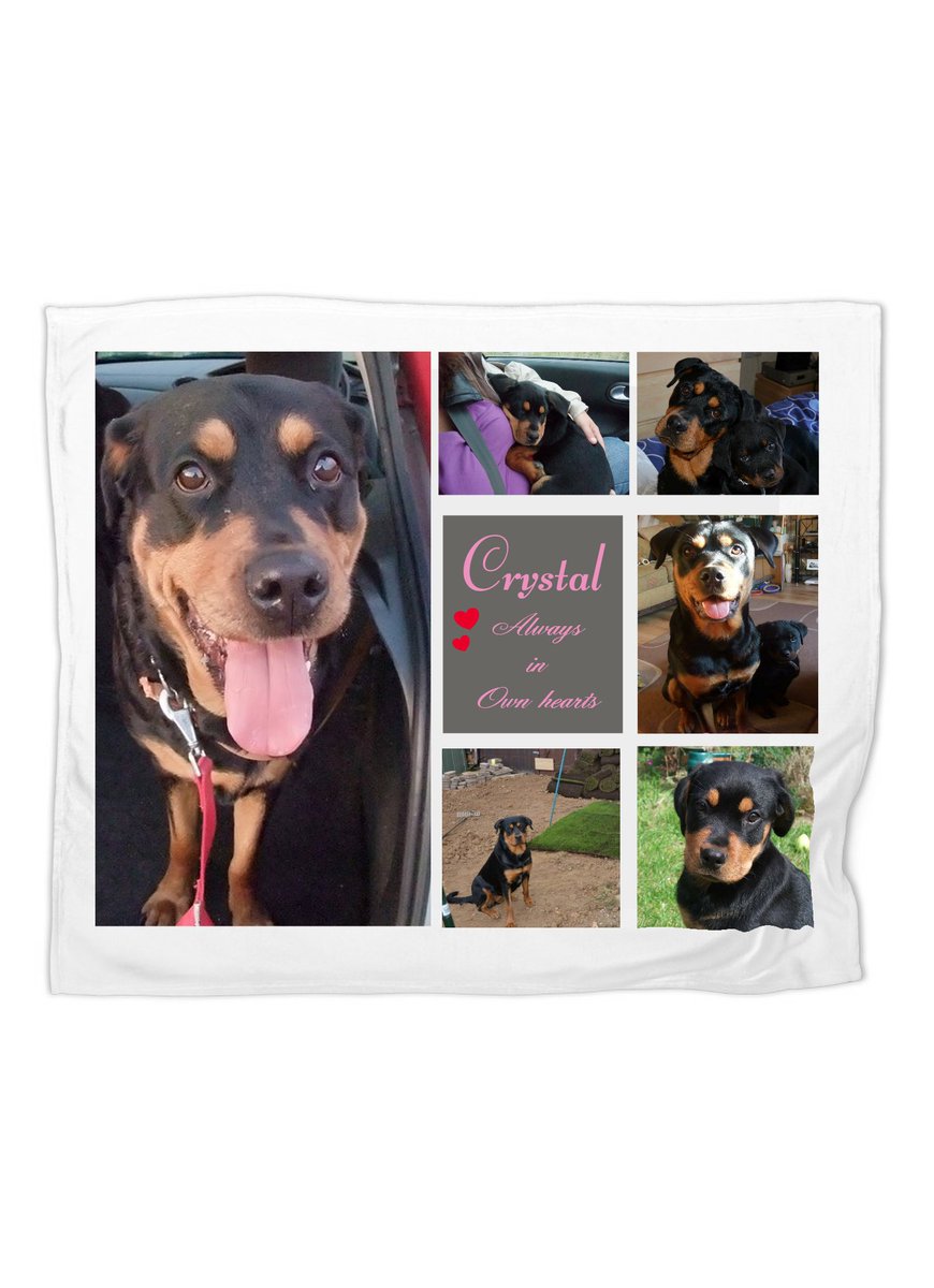 thelizardgifts's tweet photo. Excited to share the latest addition to my #etsy shop: Personalized 6-Photo Collage, Pet Loss Gifts, Dog Memorial Gift photo blankets, wedding gifts, memorial gift, Mother's Day, Father's Day, #lighting #dog #rohttps://etsy.me/2JjLFwJ #housewares #bedroom #bedding#dog https://t.co/vbxstmnwcP