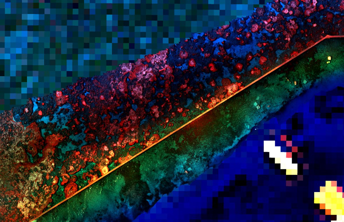 DrKJoyce's tweet image. Now THIS is exciting! Background: Heron Reef #GBR from #Worldview2 #satellite #multispectral imagery. Foreground: from a @Parrot Sequoia on @3DRobotics #drone False colour, so RGB is NIR,R,G #remotesensing #SheMaps @JCUGeoscience @jcu @StephanieDuce @stuartphinn @sawsharkman