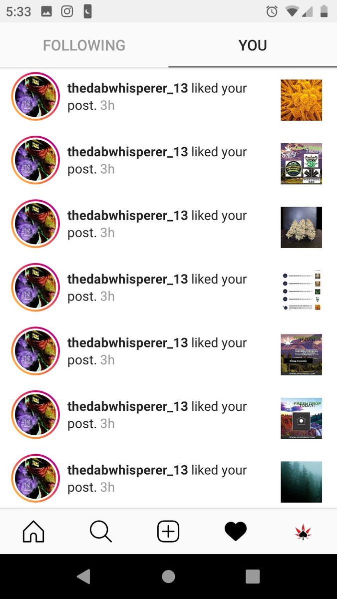👀😮Thank you, @thedabwhisperer_13 for all the love!!🤗🥰

#SpadyBud #BestQualityGardens #BQGardens #BQG #Cannabis #Marijuana #Weed #Kush #Ganja #MaryJane #Hemp #Pot #PacificNorthwest #PNW #WashingtonState #Washington #WA #WesternWashington #Longview #i502
I-502 Compliant.