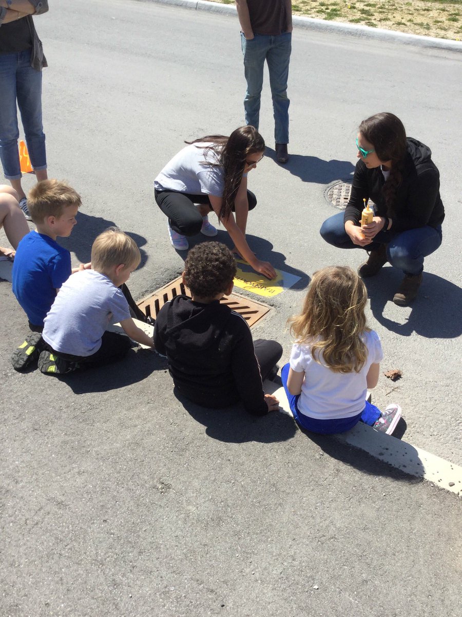 mgardner238's tweet photo. Corinne from @LowerTrent showed us what pollution can do to our drinking water.  Then she helped us paint yellow fish near storm drains. @TrentRiverPS #hpecompetencies https://t.co/nwalw1hXWU
