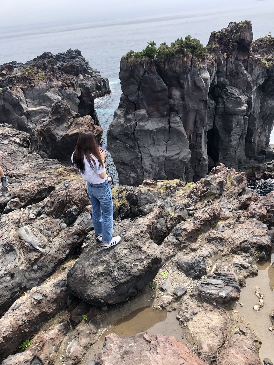 to_n1998's tweet photo. 伊豆旅行 https://t.co/rswU3g7DIH