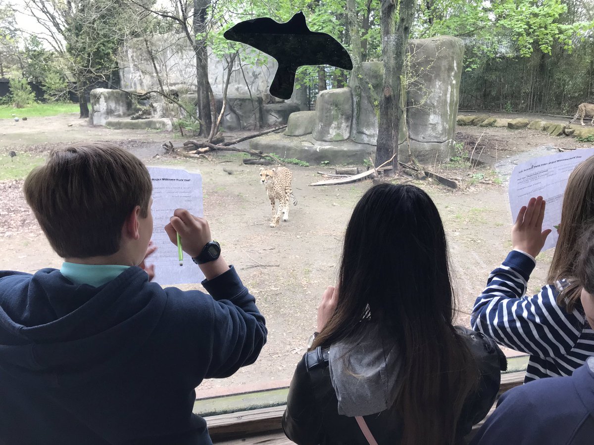 capecodacademy's tweet photo. G6 went to Roger Williams Park zoo today to begin their unit on animals. Each students observed the behavior of an animal and made connections between similarities in adaptations of different animals that live in similar biomes. #LearnMoreBecomeMore #insidecca https://t.co/16Wv7lGLHU