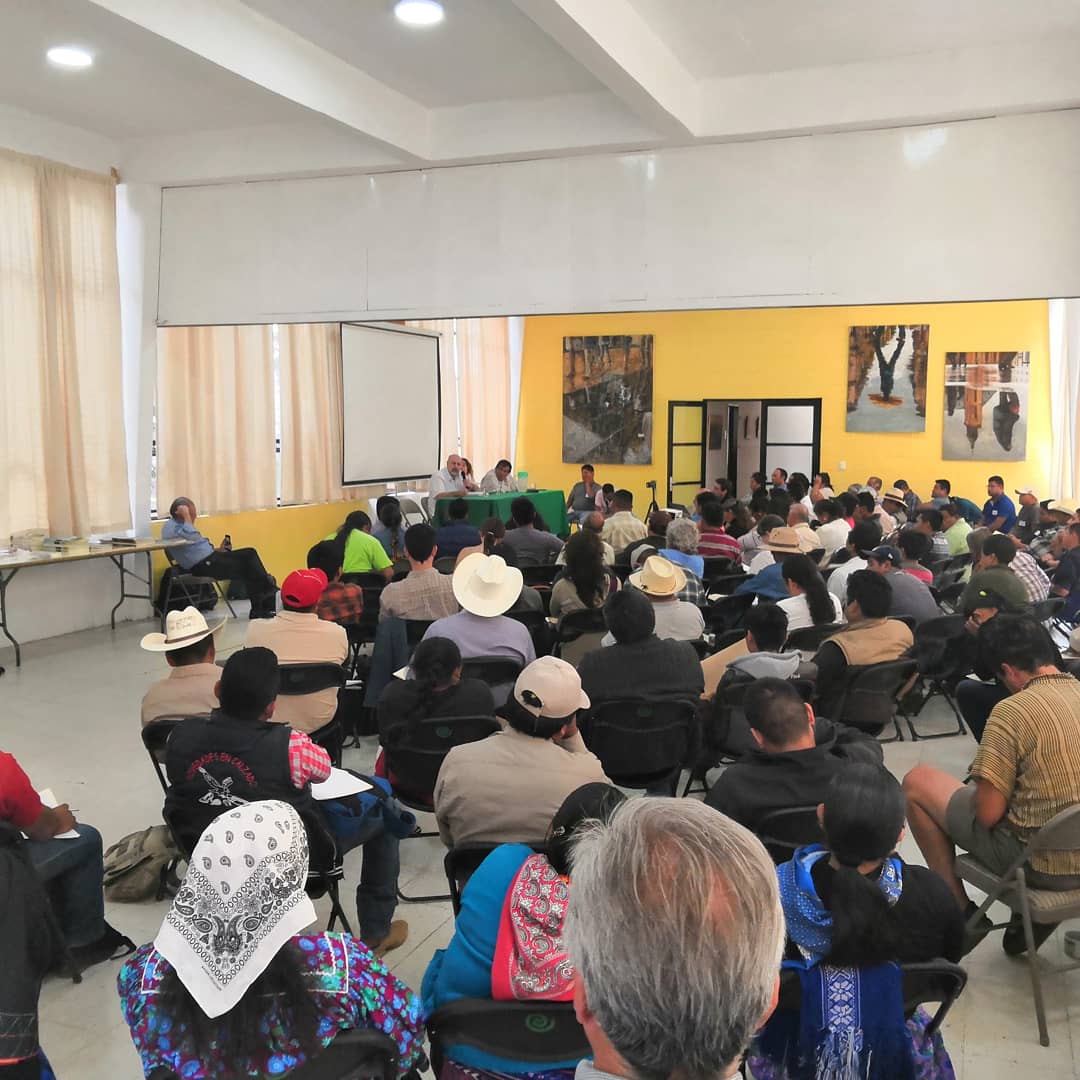 LeslyCanoM's tweet photo. Trabajando por el campo mexicano en el encuentro anual en defensa de los territorios.
#Ceccam
#OgulloNacional https://t.co/KdmRLZ75EX