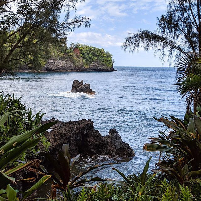 #hawaii #hawaiitropicalbotanicalgarden #hilo  #pasearhawaii bit.ly/2YdMnQl