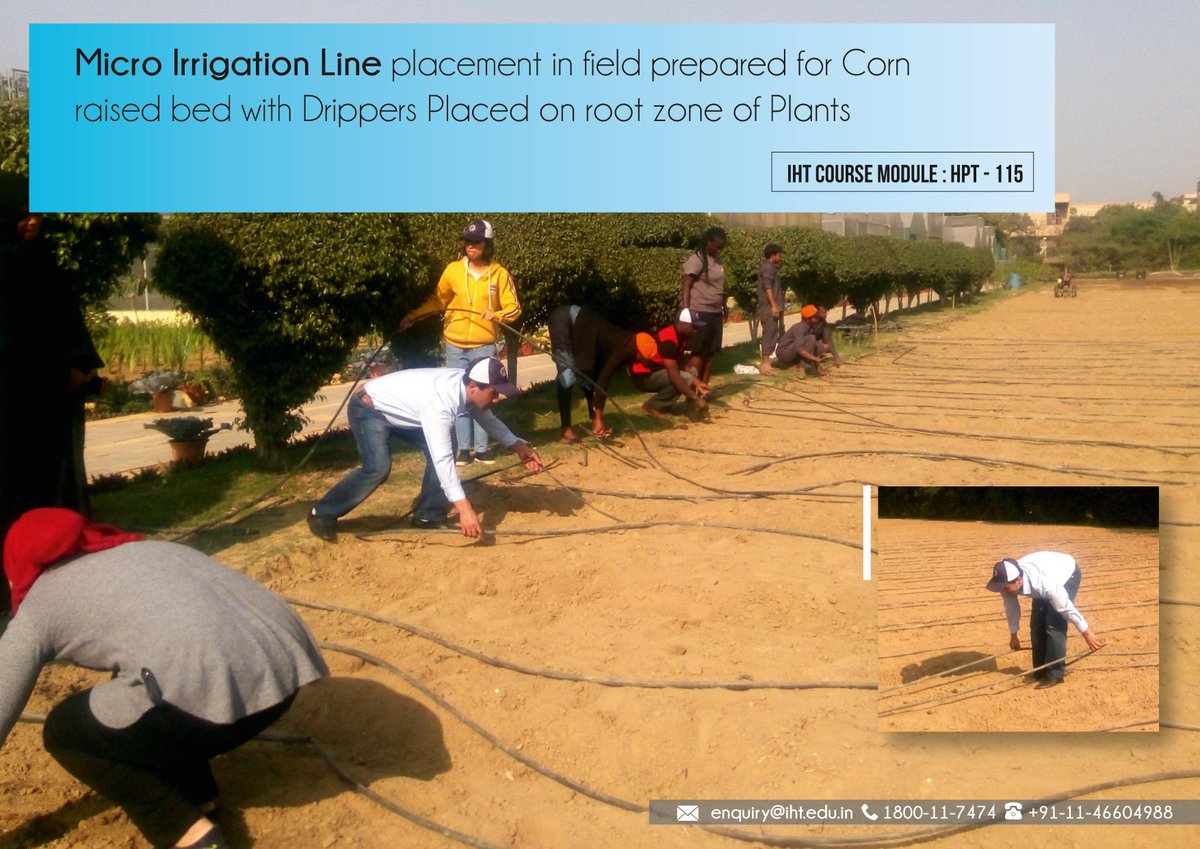 IHT_Edu's tweet photo. Micro Irrigation Line placement in field prepared for Corn raised bed with Drippers placed on root zone of plants.
For Course Details: https://t.co/kqbVoaE07T
#handsontraining  #cultivationtraining #greenhousetraining #irrigationsystem #microirrigtaion #drippers #root #cornfield https://t.co/EtBRzVQ2XC