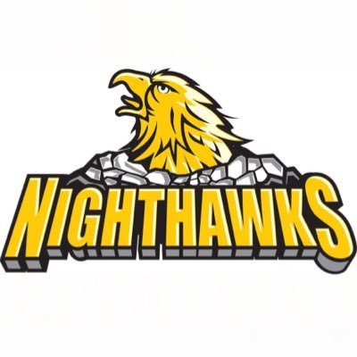 USPHL's tweet photo. #USPHLCommitments: Shout out to the @CT_Nighthawks Brendan Patterson, for his commitment to @AMC_M_Hockey! Best of luck! https://t.co/lVsXosG2hL