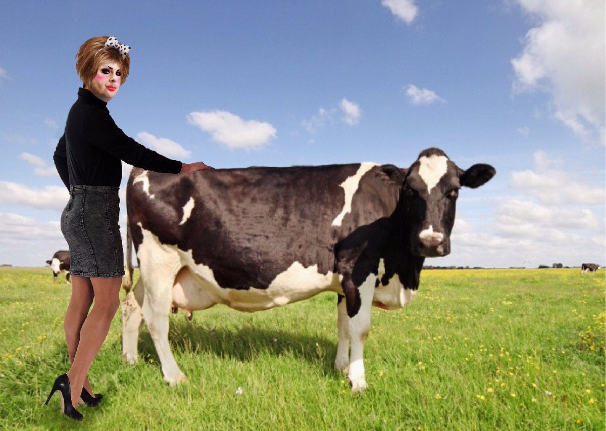 NunesDrag's tweet image. Who needs public forums with constituents when you can have bovine photo shoots in an abandoned field? I’m here to serve looks, not people.