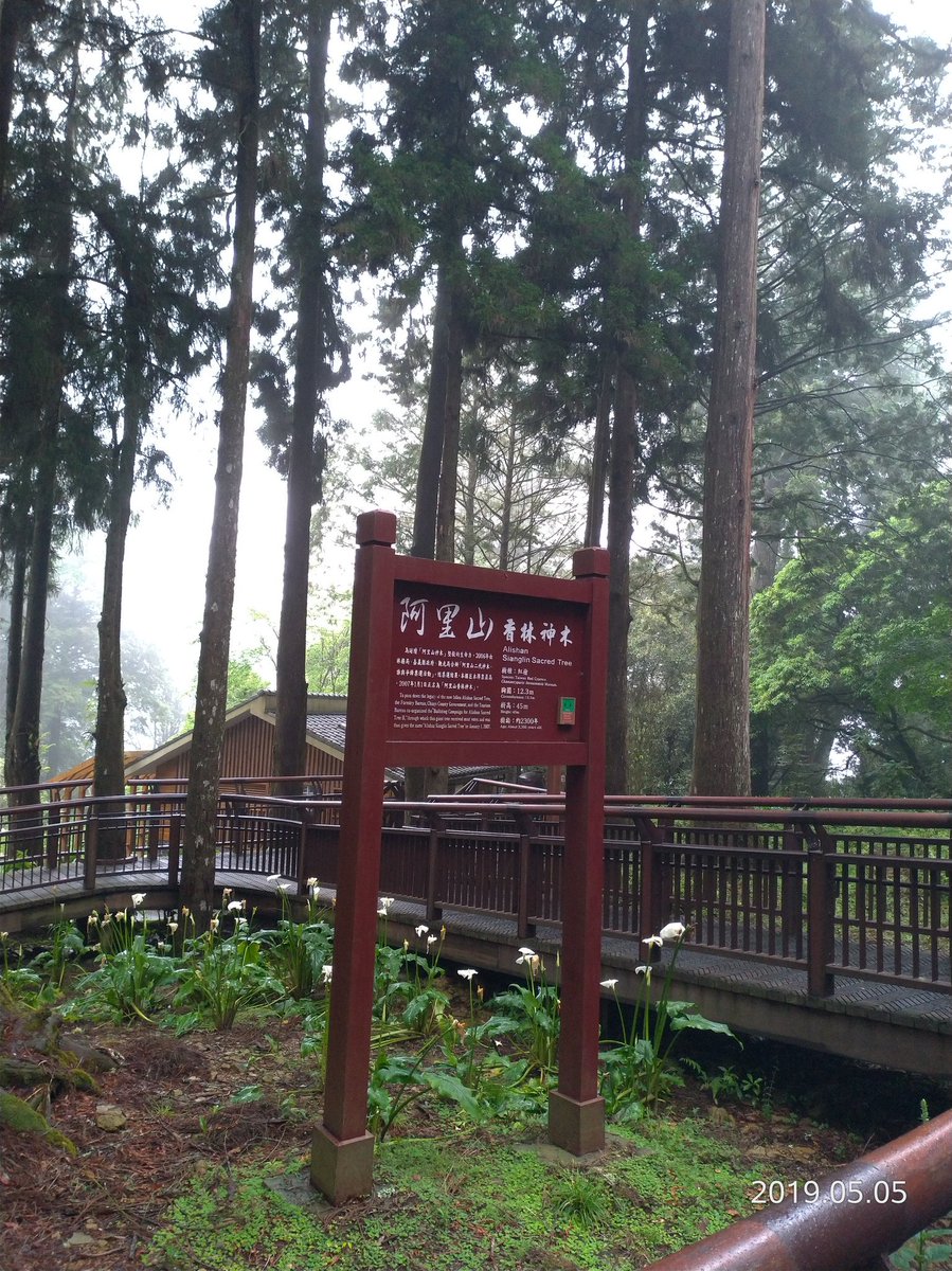 JohnsonCalos's tweet image. 