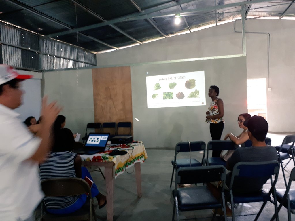 LifeLihfa's tweet photo. We are advancing towards what LiHFA Costa Rica will be. We have started our training in crop production. We cant wait to have our greenhouse established in the few coming weeks. https://t.co/vBJcZWSM7e