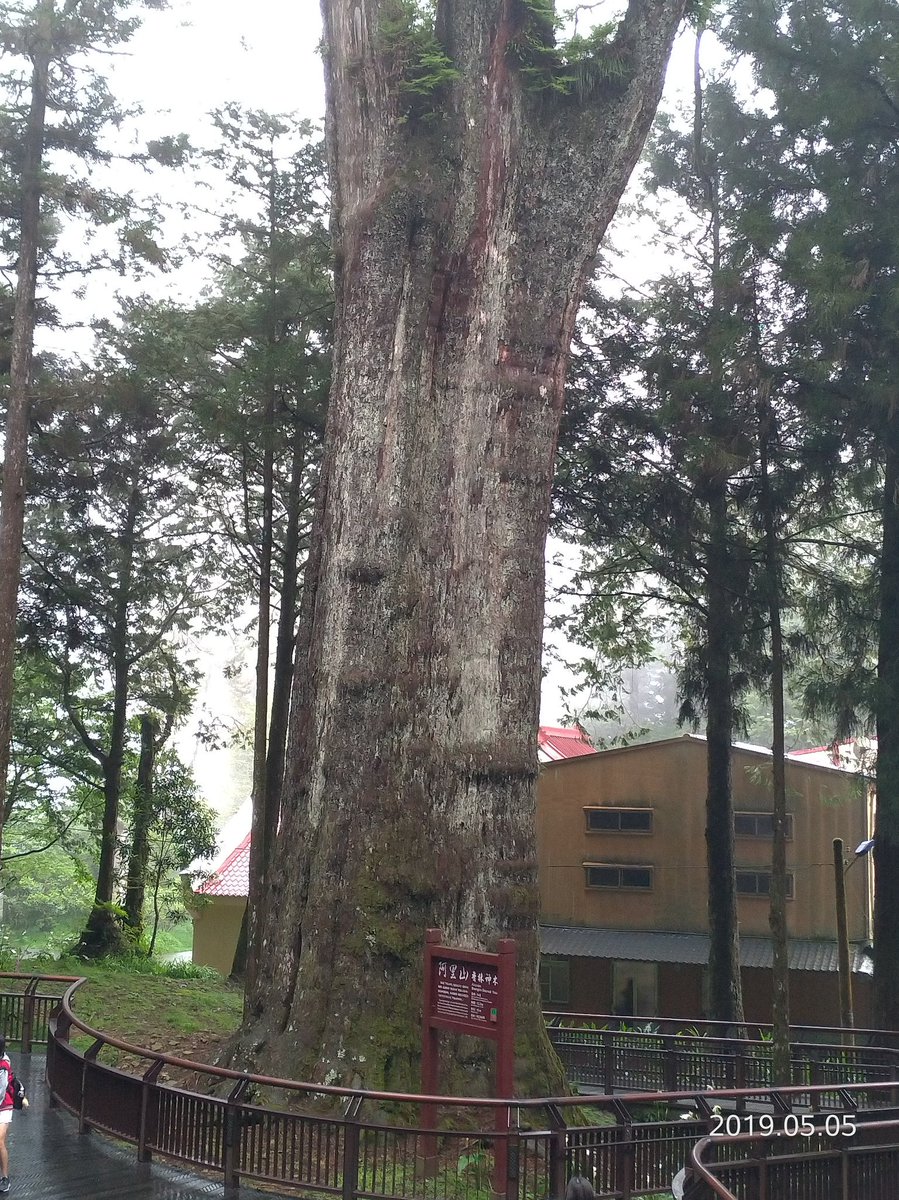 JohnsonCalos's tweet image. 