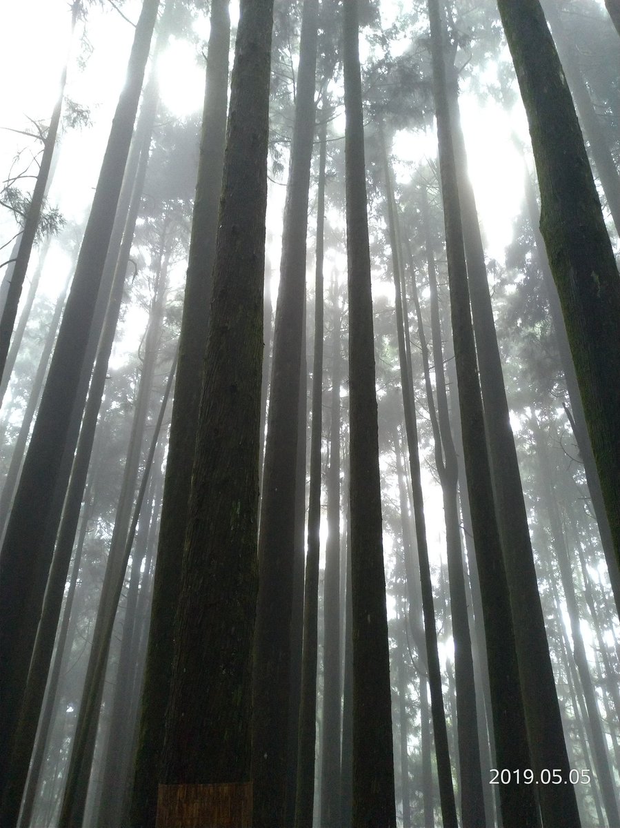 JohnsonCalos's tweet image. 