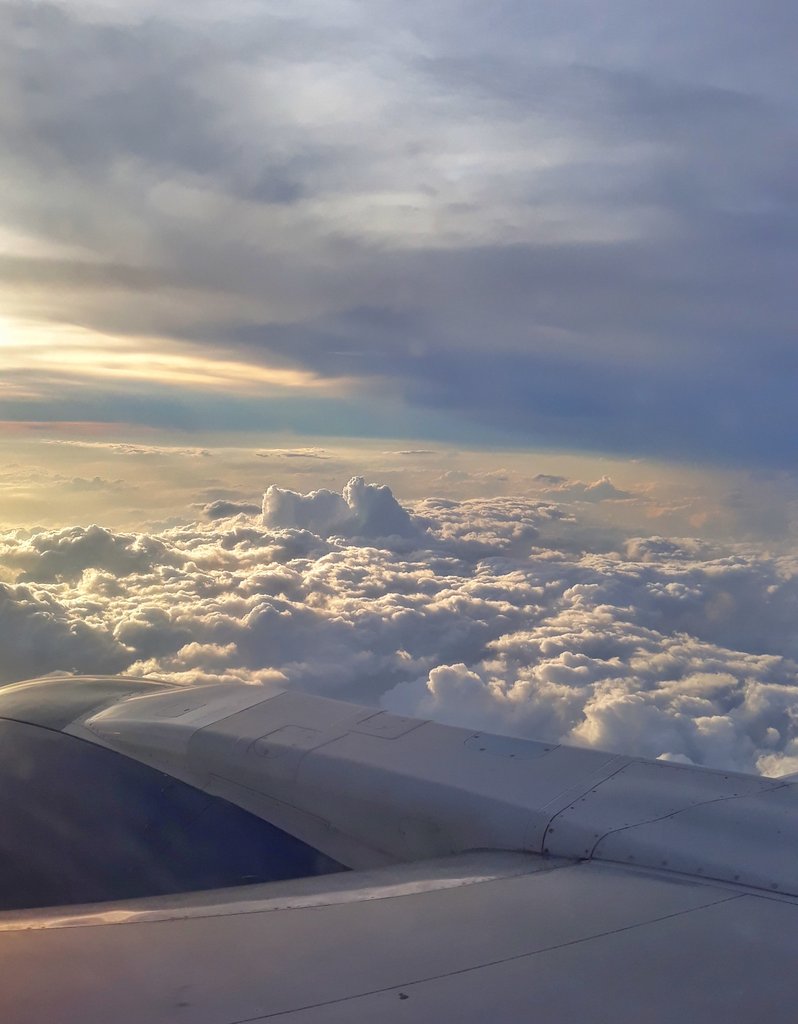 DavidContrerasX's tweet photo. La diáspora a 35 mil pies

Piloto: Gracias por volar con nosotros. Y para aquellos que regresan por asuntos familiares, un viernes en la tarde es un gran día para volver y abrazar a su familia.

Pasajeros: aplauden en conjunto, mientras otros sonríen. https://t.co/tqzibPpp9P