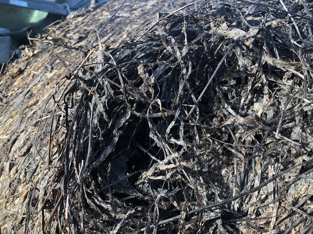 Ecotain baleage- looks different, but tastes great