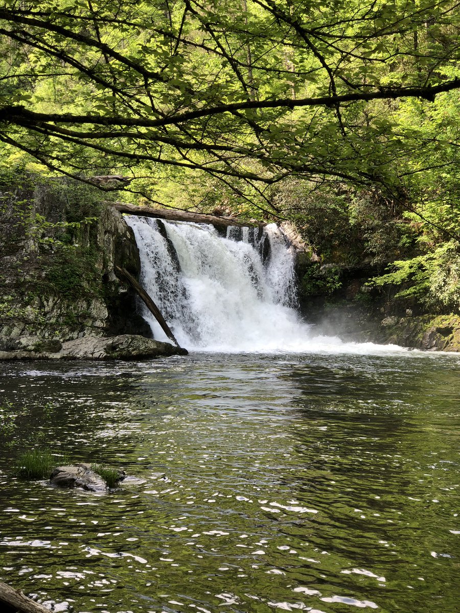 ArtSolutionsInk's tweet image. Photographer at work! Abrams Falls is named for a Cherokee chief whose village once stood a few miles downstream from this 20-foot beauty of a waterfall. #CadesCove #SmokyMountainsNationalPark