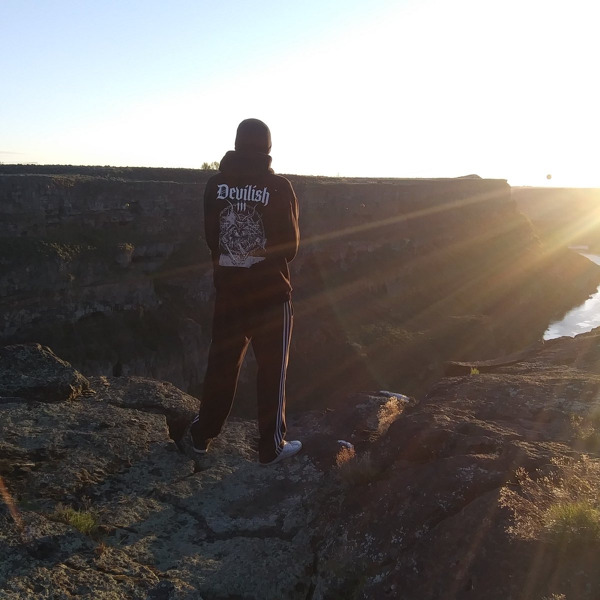 Hallucin8 tweet media