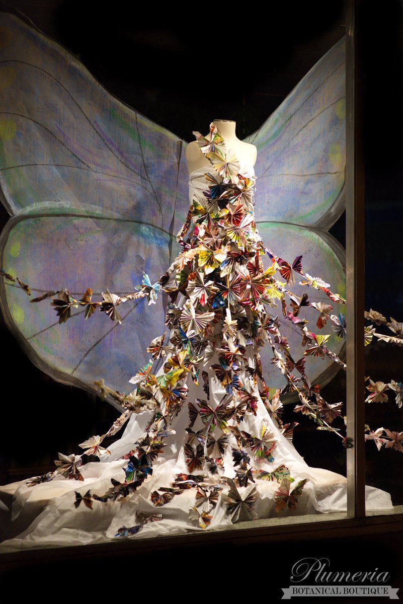 plumeriabb's tweet image. New window display!