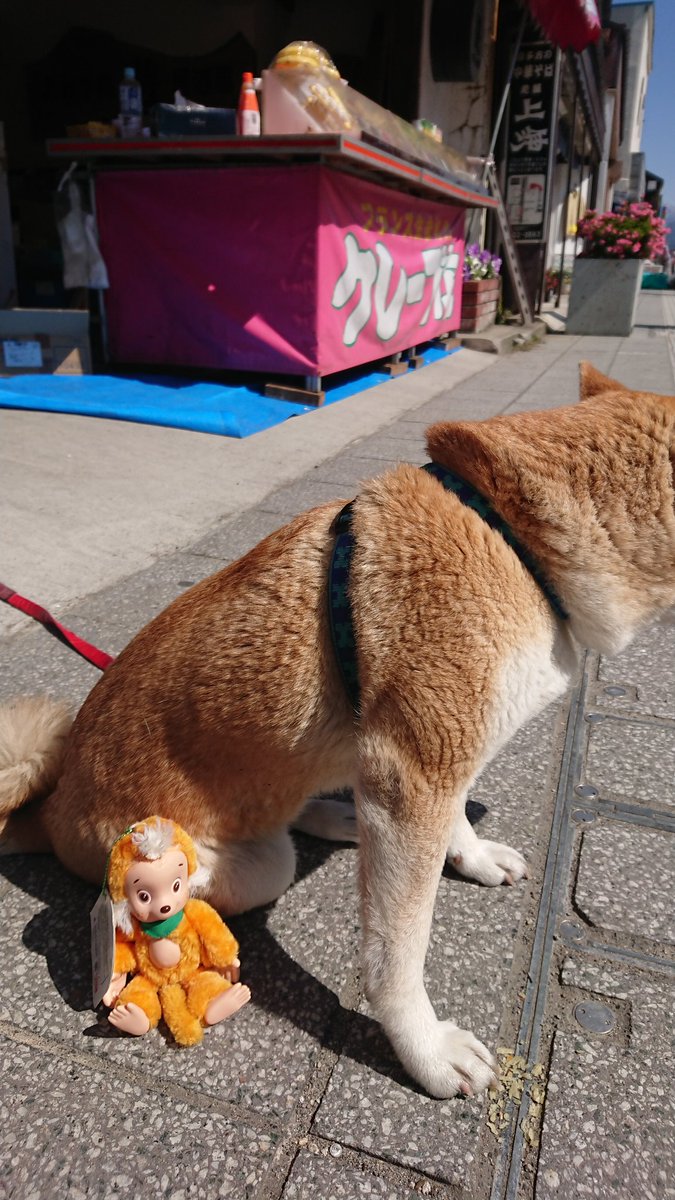 おさるのポッケ