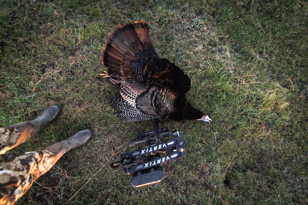 From roost to recovery. #MathewsVertix Photo | Matt Kollman #mathews