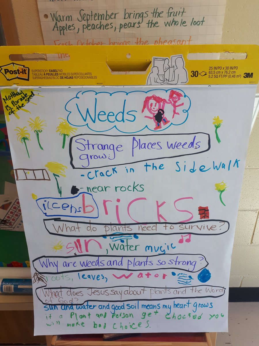 stjosephkillar1's tweet photo. Mrs. Rioux spent Friday afternoon with our St Joseph friends to start Catholic Education week early.  They read the parable of the seed, talked about seeds and weeds (found some too) and talked about being  rooted in faith. https://t.co/8afSpgDzdh