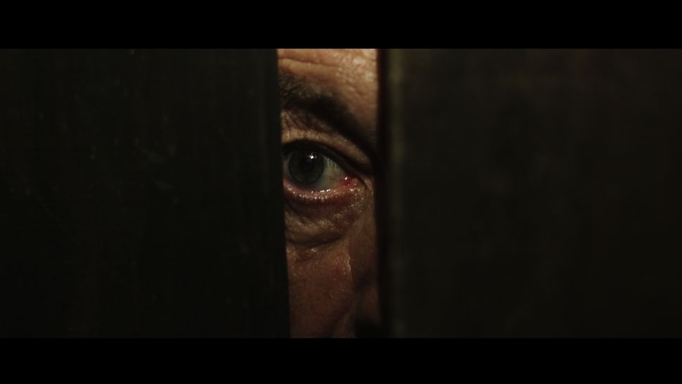 RT The405: EXCLUSIVE: Check out this clip from Spanish Civil War genre-bender The Bastards’ Fig Tree buff.ly/2YdFiPx