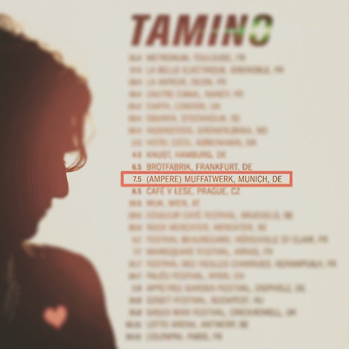 avazquezmx's tweet image. A long journey from Mexico just to see @taminoamir, almost there.