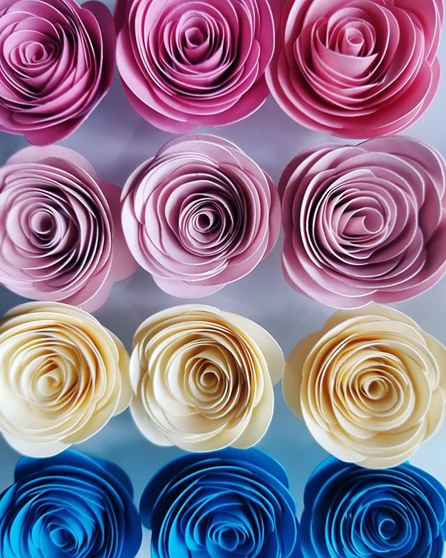 Flowersbyellenoh On Twitter Spiral Rose