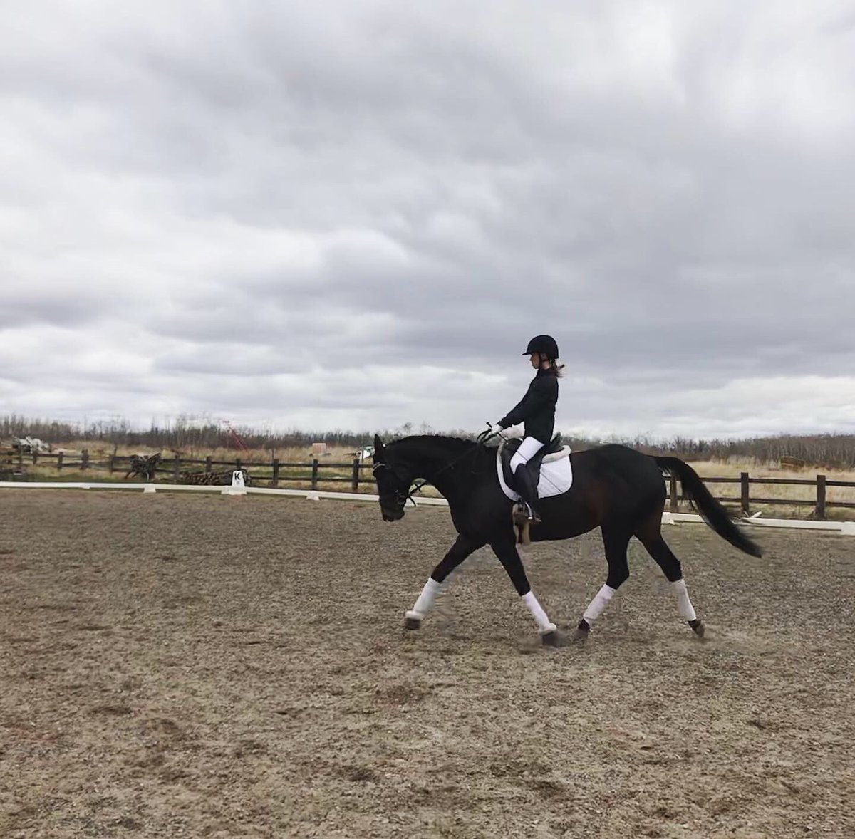 MGstablesWpg's tweet photo. Our Jump into Spring Show was such a fun day! Many new competitors and so many great tests and rounds. We are SO proud of our riders! 🤩🐴🏅 https://t.co/bm92y6NCJH