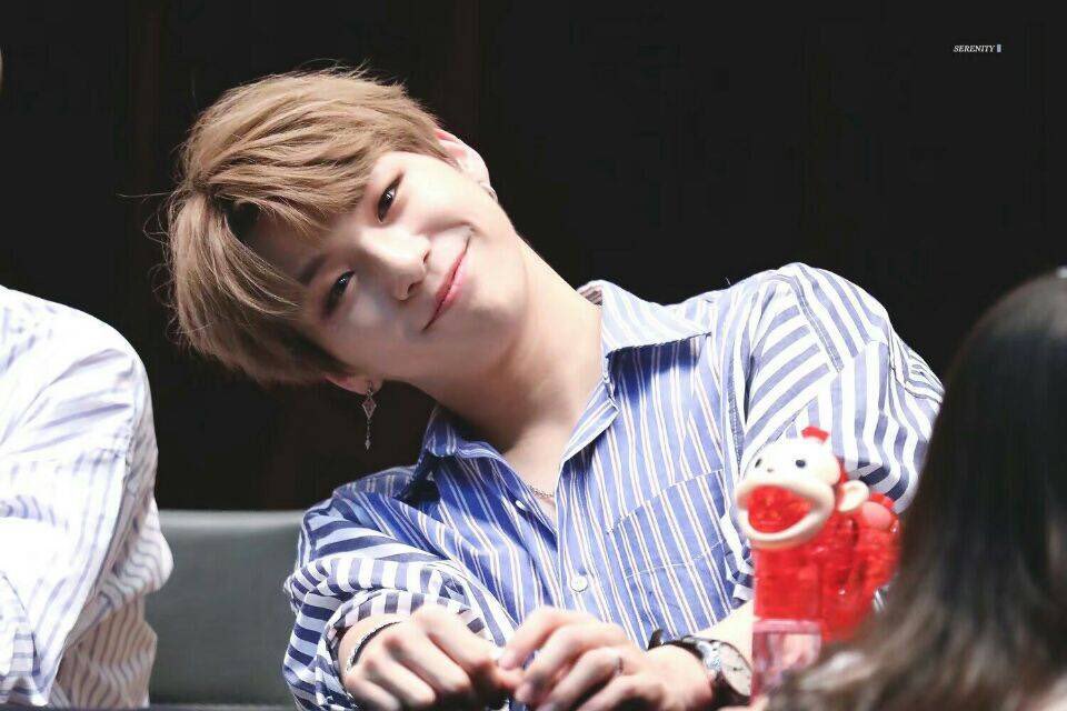 happypilldaniel's tweet photo. 🐶🐾 https://t.co/KdTSk4Vr2B