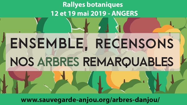 🌳Inventaire participatif des #Arbres #Angers : 12 rallyes botaniques associant habitants et botanistes, organisés dans les quartiers dimanche 12 et 19 mai.
Rejoignez nous ! 👉sauvegarde-anjou.org/arbres-danjou/