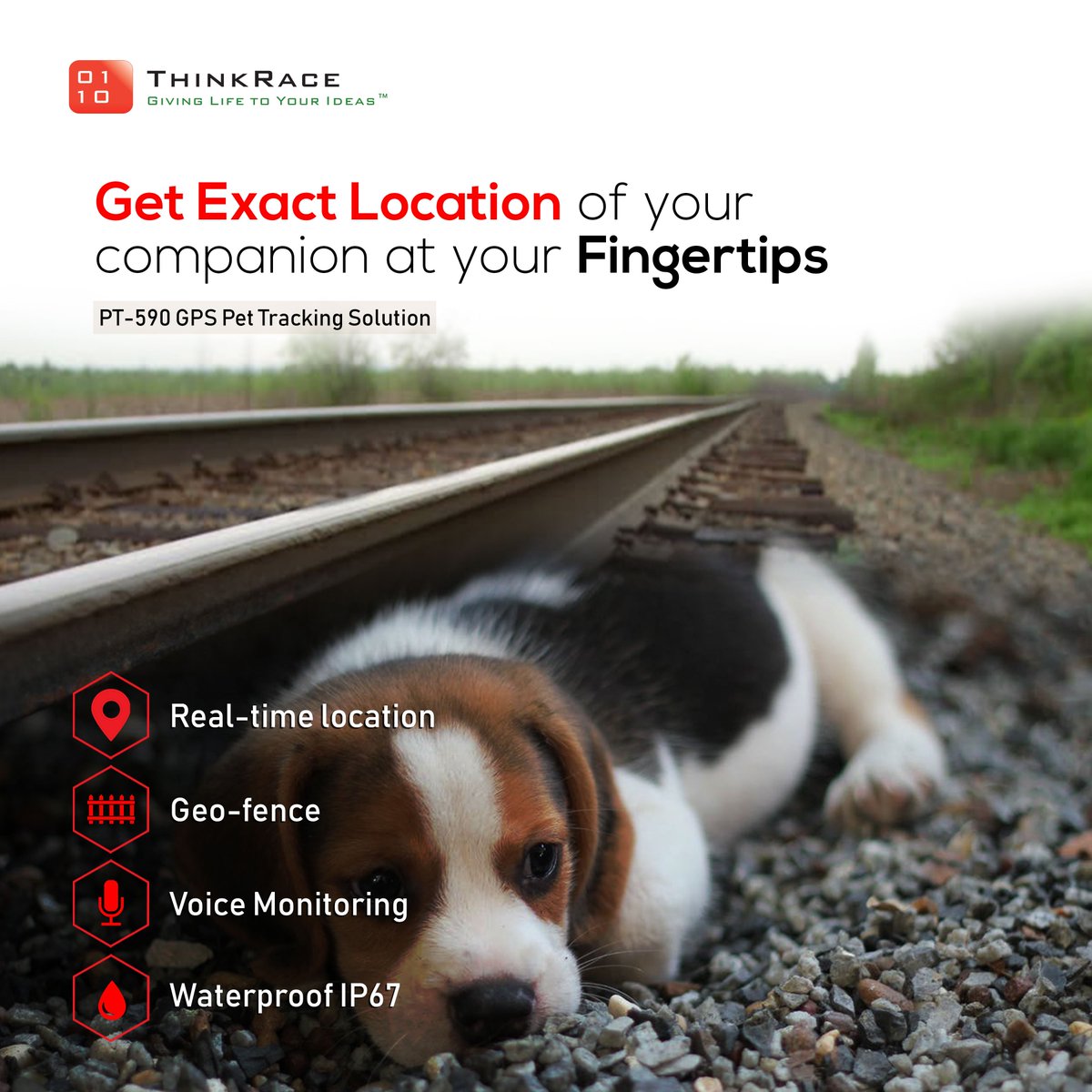 thinkrace123's tweet photo. Keep your pets safe with ThinkRace GPS Pet Tracker PT590
Thanks to today’s advanced technology, dog owners can keep their dogs even safer by purchasing a GPS pet tracker. Now, you’ll be able to locate your dog and bring him home much more quickly.

visit: https://t.co/nfwWfogQh1 https://t.co/HILqGxteZV