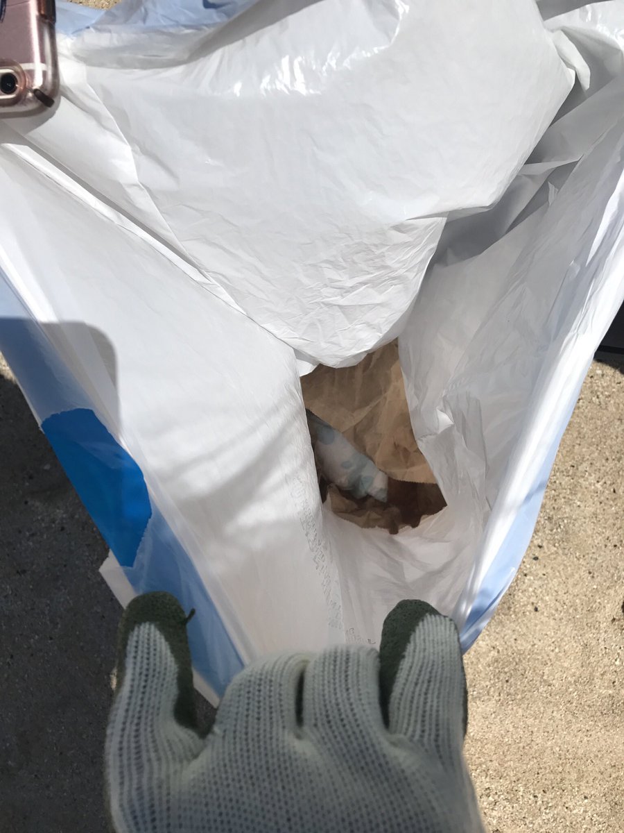 avanisbioworld's tweet image. #Trashtagchallenge #apbio3 #beachcleanup #NDBtigers @TechBioBek