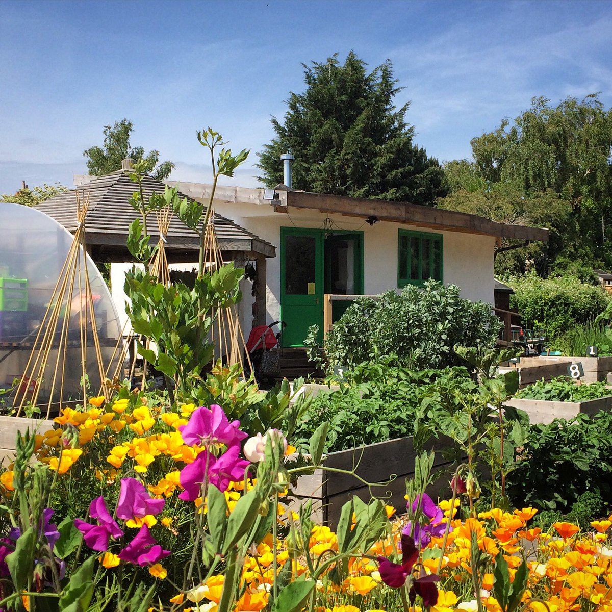 It’s the Golden Hill Community Garden Spring Fair this Saturday 11th 1-4pm. 

🌱 Plant Sale &amp; Stalls
🎶 Music
🎈 Kids activities 
🍕 Pizza from the clay oven
🍰 Cakes &amp; refreshments

Our site is fully accessible  and there is a quiet sensory space. 
See you there!