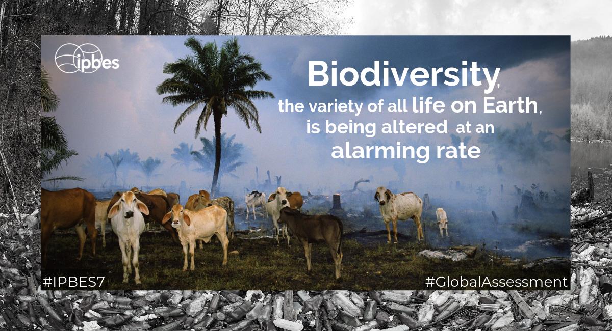 IUCN tweet media