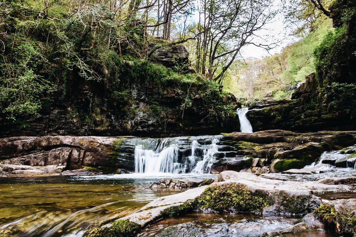 amytinson1's tweet photo. Went on a brilliant adventure to Wales with Jodie to complete the #FourWaterfallsWalk, near #Ystradfellte, on Sunday! ☺️🌳🌊🏴󠁧󠁢󠁷󠁬󠁳󠁿💕 #DoGoChasingWaterfalls #NaturePhotography https://t.co/PWR9jWakGq