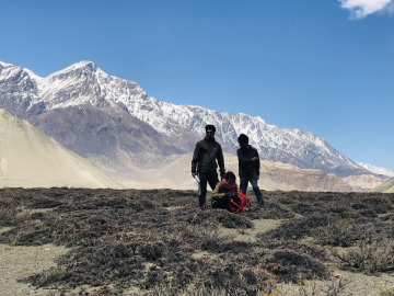 Geomative01's tweet photo. Good news from Nepalese clients"We have successfully imaged the seismogenic fault at the himalayan front." https://t.co/ToOp0KjckG