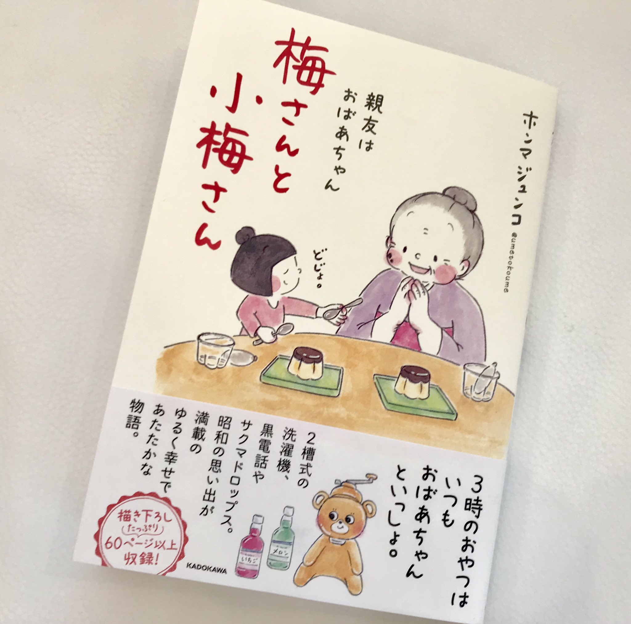 藤 あや子 梅さんと小梅さん 著者は秋田出身のホンマジュンコさん 本の舞台も秋田で 懐かしい秋田弁や秋田名物 名所とともにおばあちゃんと女の子の何気ない日常を描かれているのですが 絵のタッチも可愛くてとにかくほっこりして癒されます 梅