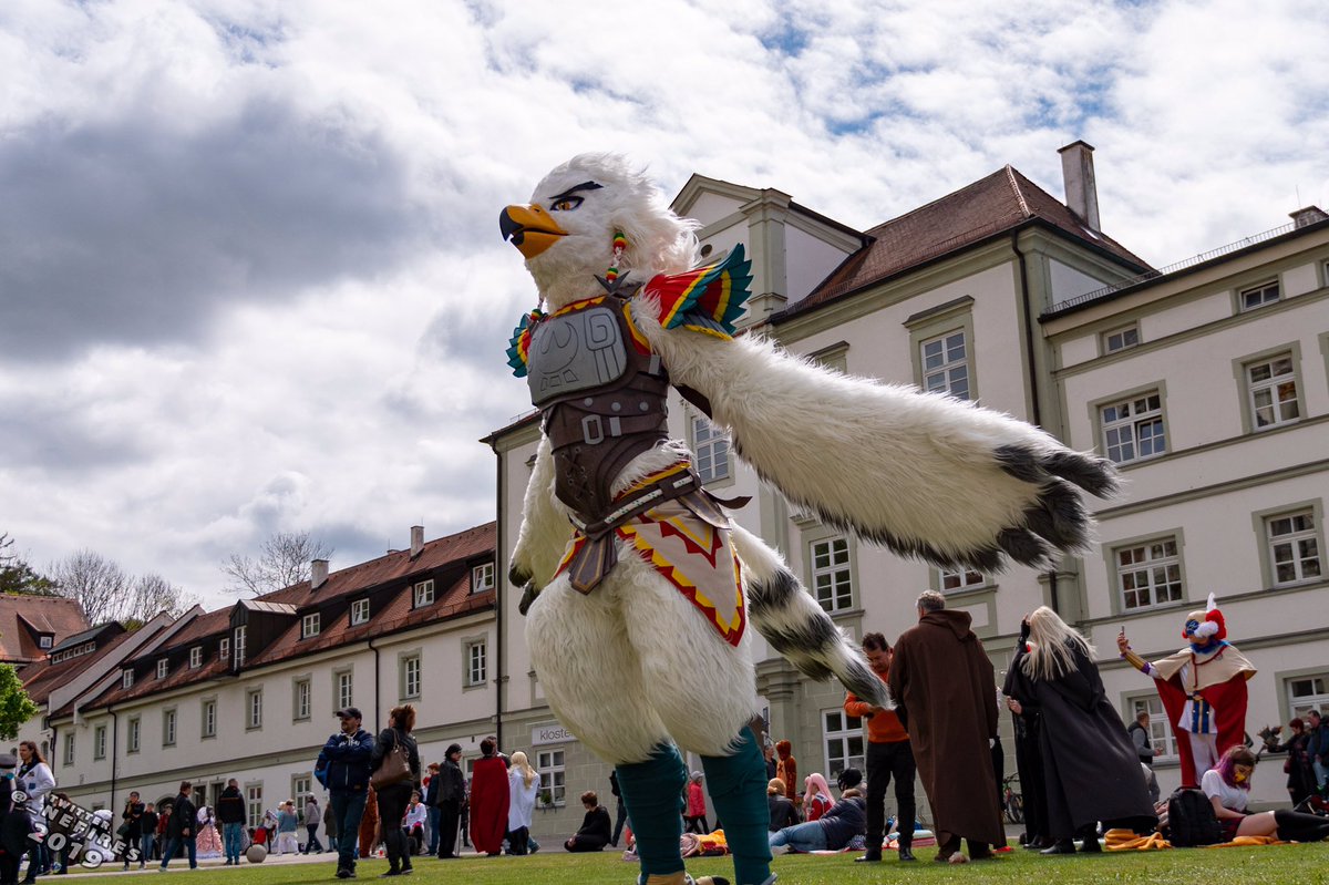 skyhawkcosplay's tweet photo. To the sky! #tebatherito #thelegendofzelda #BreathoftheWild #animuc2019  📸 @_Nefires https://t.co/3nn7zF6Tbs