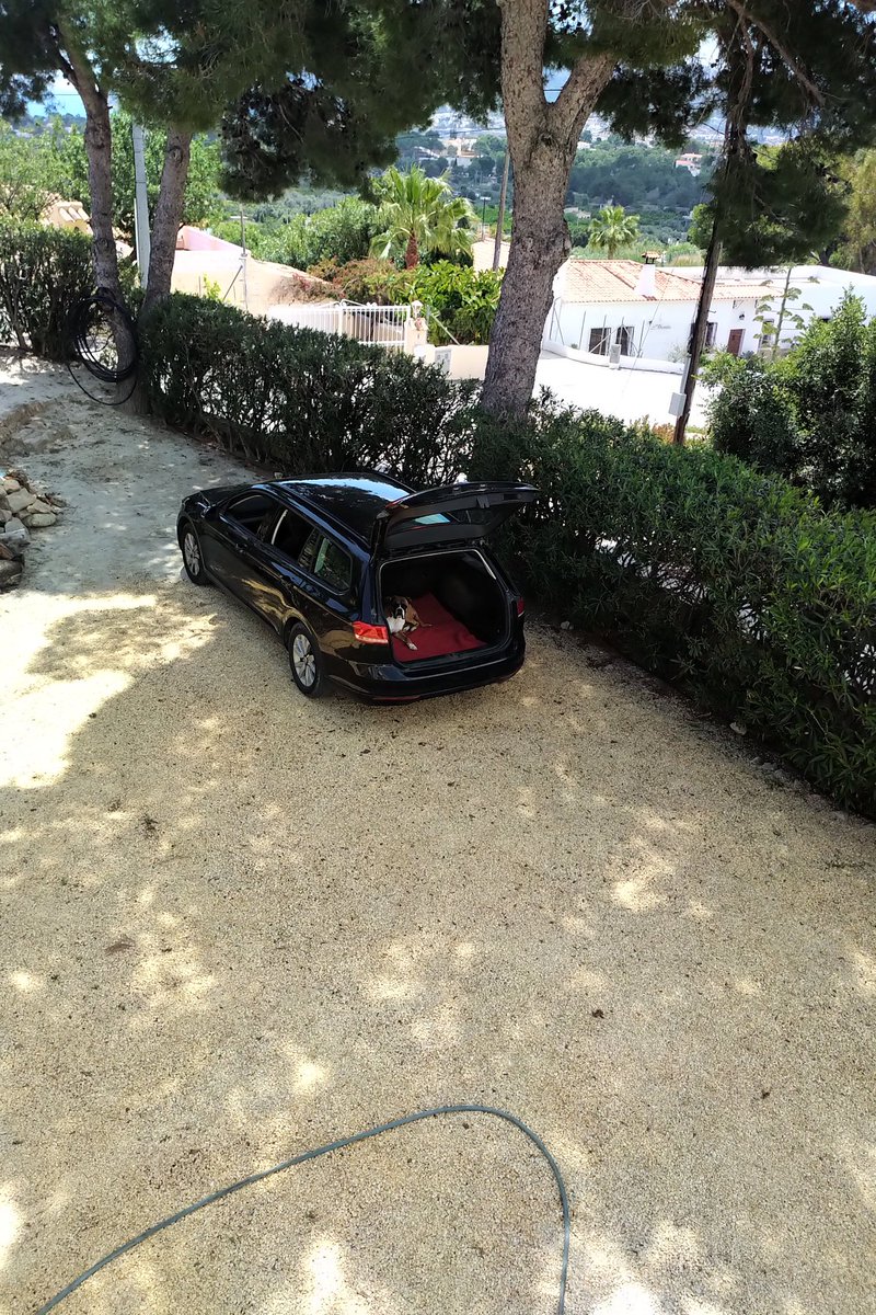 Lady Hilda doesn't jump in car boots!  But yesterday she disappeared in there for 2 hours!
