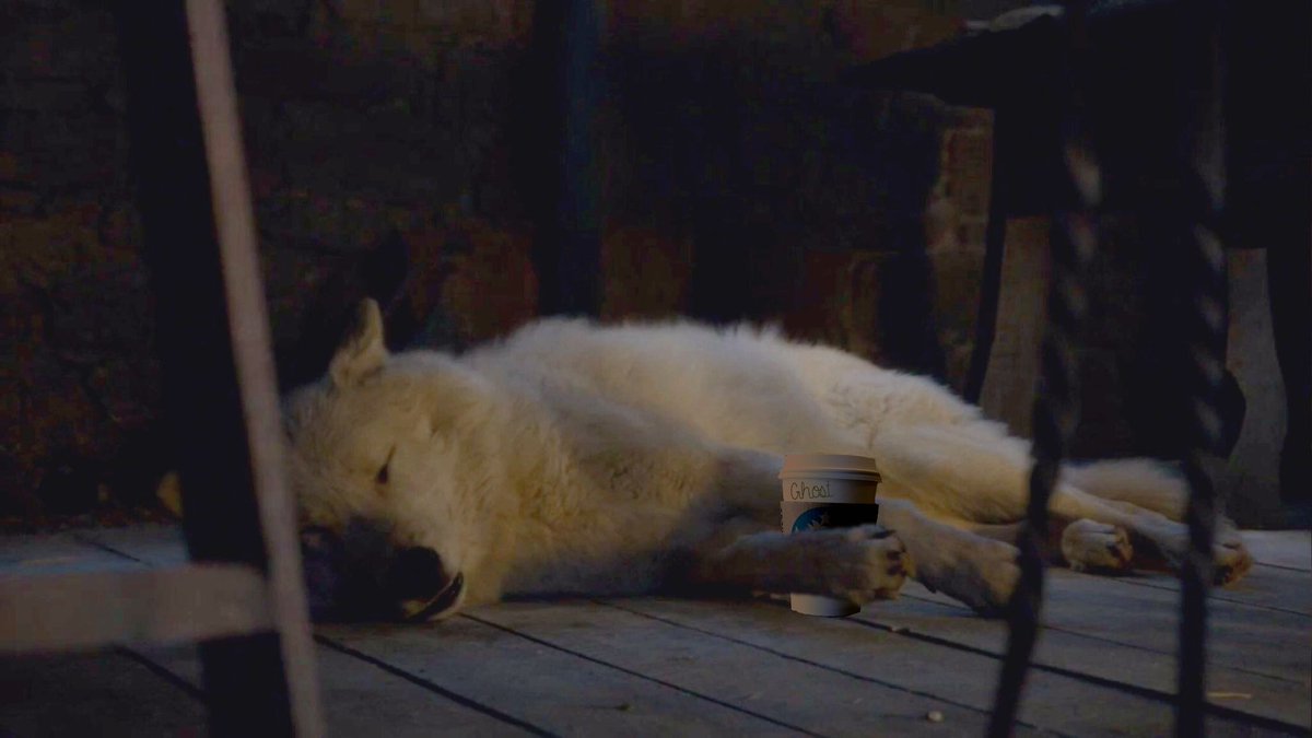 Beandoodly's tweet photo. The real reason they wrote Ghost off the show. #GameofThrones #GhostDeservedBetter #PetTheDamnDog https://t.co/47j48aJuoe